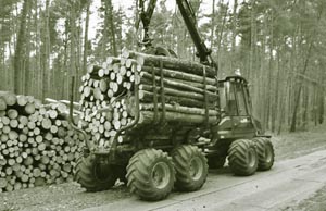 Holzbringung