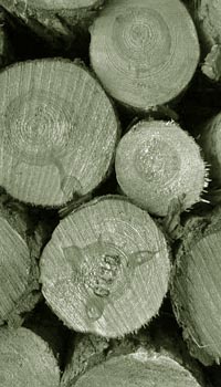 Holzpolter