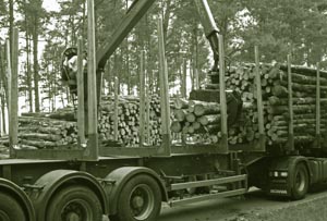 Holztransport