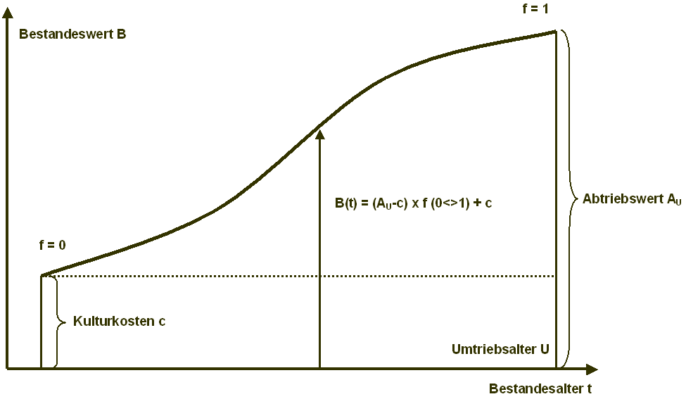 Waldbewertung mit Alterswertfaktoren